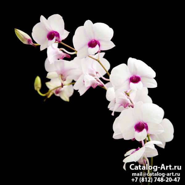 картинки для фотопечати на потолках, идеи, фото, образцы - Потолки с фотопечатью - Белые орхидеи 51